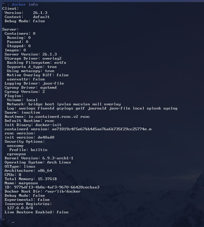 Docker running in the terminal